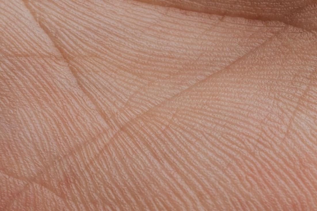 Imagem do conceito de biometria palmar