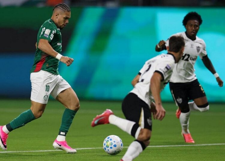 Paulinho do Palmeiras