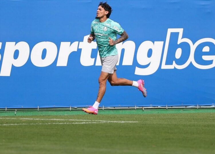 Jogadores do Palmeiras em treinamento