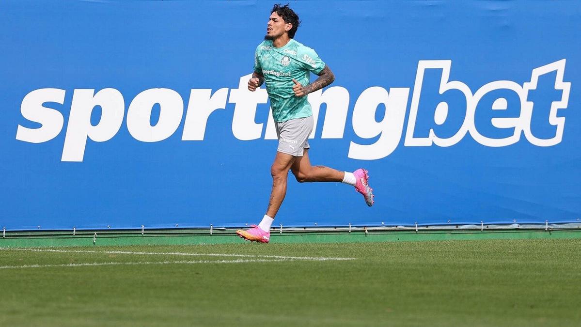 Jogadores do Palmeiras em treinamento