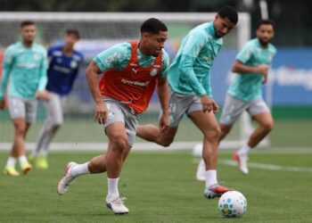 Palmeiras em treinamento