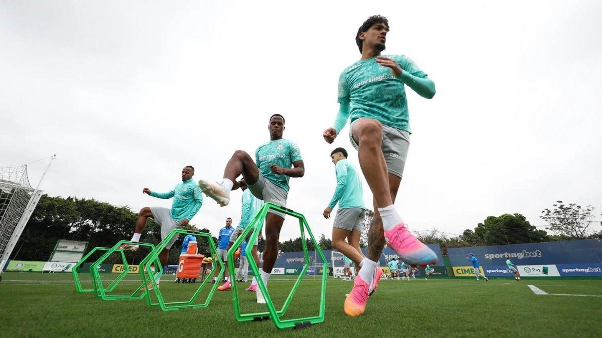 Treino do Palmeiras