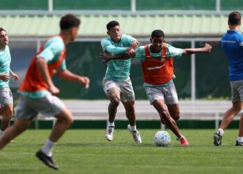 Jogadores do Palmeiras em treinamento