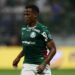 Jhon Arias em ação pelo Palmeiras