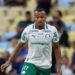 Marlon Freitas em ação durante jogo do Palmeiras