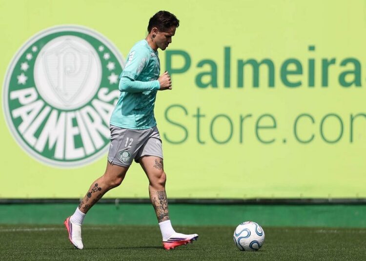 Palmeiras se preparando para a Libertadores
