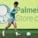 Palmeiras se preparando para a Libertadores