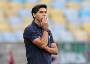 Palmeiras em campo