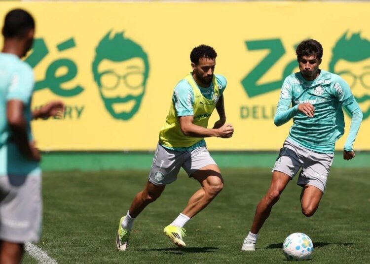 Palmeiras em campo