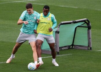 Treino do Palmeiras