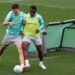 Treino do Palmeiras