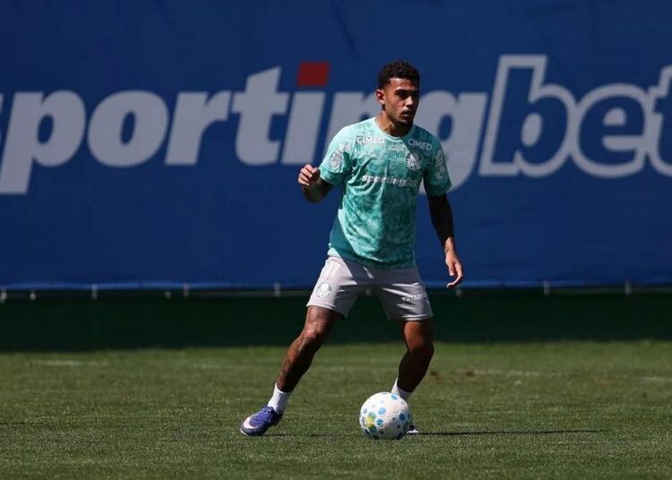 Riquelme Fillipi em ação pelo Palmeiras