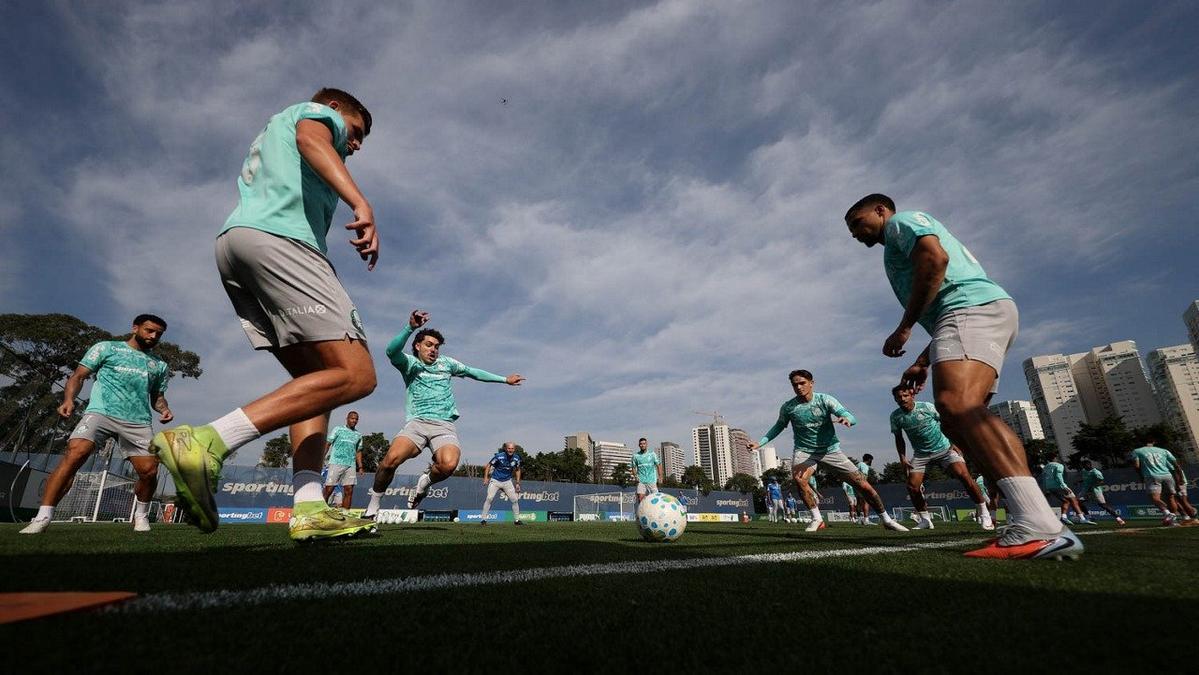 Palmeiras em treino