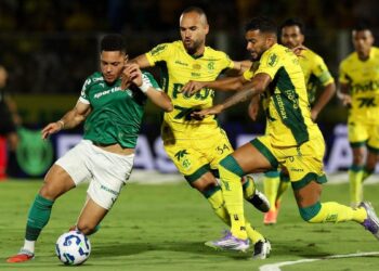 Palmeiras em ação no Campeonato Brasileiro