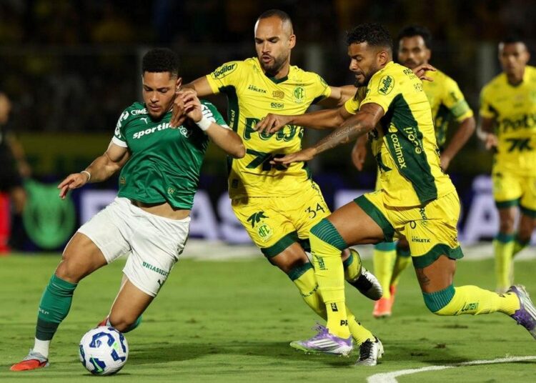 Palmeiras em ação no Campeonato Brasileiro