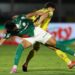 A partida entre Palmeiras e Mirassol no Estádio José Maria de Campos Maia