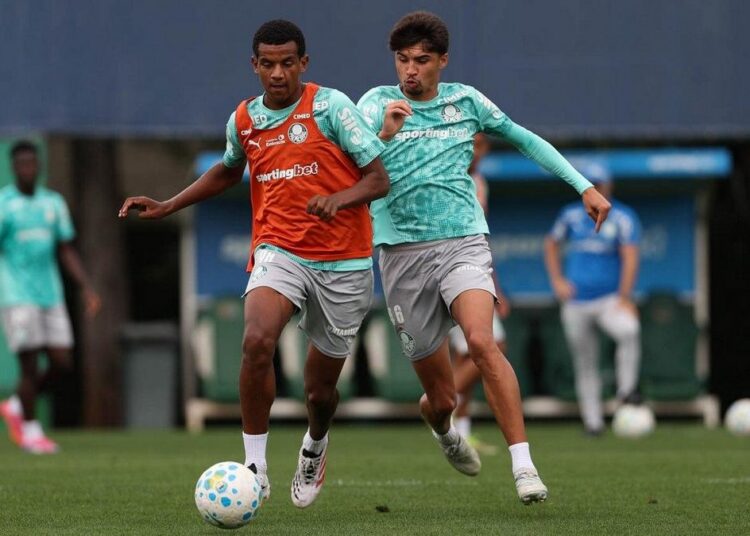 Jogadores do Palmeiras em treino