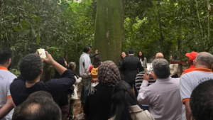 Visita técnica destaca conservação e adaptação climática na Mata de Santa Genebra