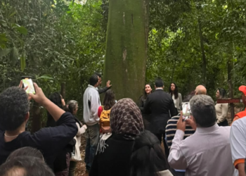 Serviços ecossistêmicos proporcionados pela Mata de Santa Genebra foram destaque na visita