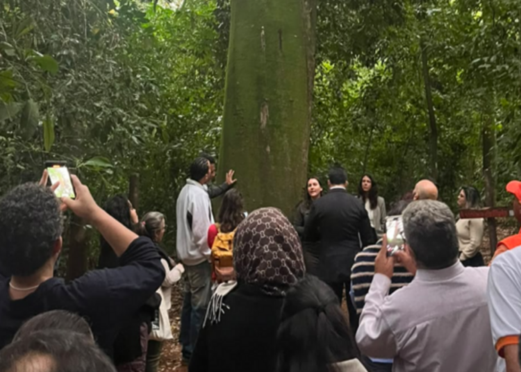 Serviços ecossistêmicos proporcionados pela Mata de Santa Genebra foram destaque na visita
