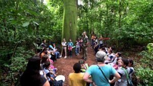 Mata de Santa Genebra promove curso para professores da rede municipal