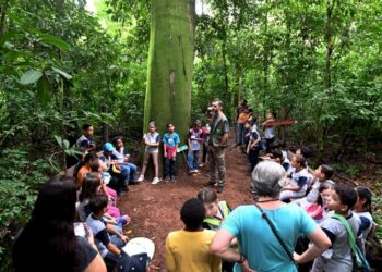 Formação busca ampliar a compreensão sobre as possibilidades de práticas educativas em áreas naturais protegidas