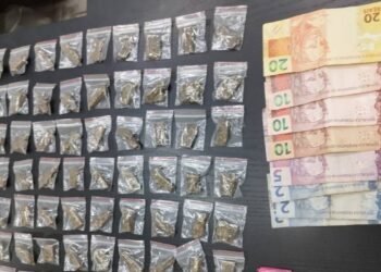 apreensão de cocaína