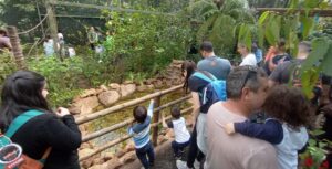 Crianças e famílias vivenciam experiência de contato com a natureza na Mata de Santa Genebra