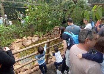 Pais e filhos tiveram uma experiência educativa e de convivência com a natureza na Mata de Santa Genebra
