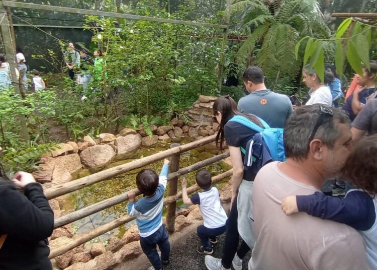 Pais e filhos tiveram uma experiência educativa e de convivência com a natureza na Mata de Santa Genebra