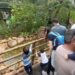 Pais e filhos tiveram uma experiência educativa e de convivência com a natureza na Mata de Santa Genebra