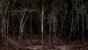 Palestra aborda tendências da fotografia contemporânea brasileira em Campinas