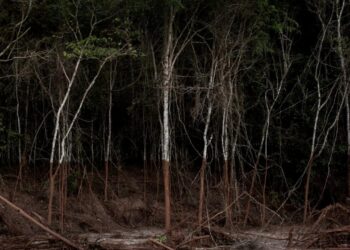 Natureza e território na palestra sobre fotografia contemporânea promovida pelo NuFCa