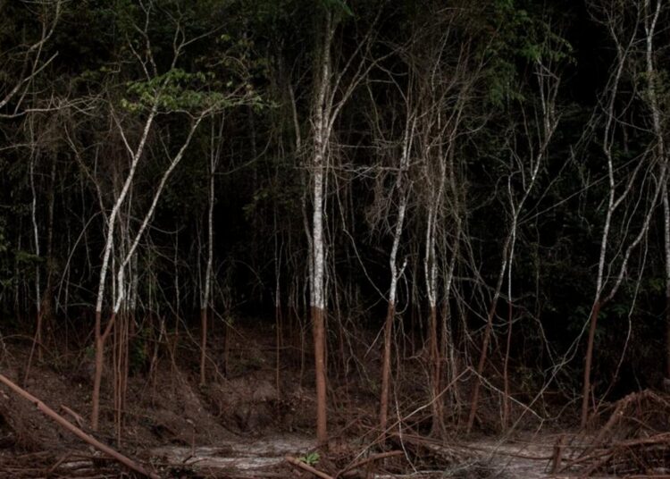 Natureza e território na palestra sobre fotografia contemporânea promovida pelo NuFCa