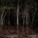 Natureza e território na palestra sobre fotografia contemporânea promovida pelo NuFCa
