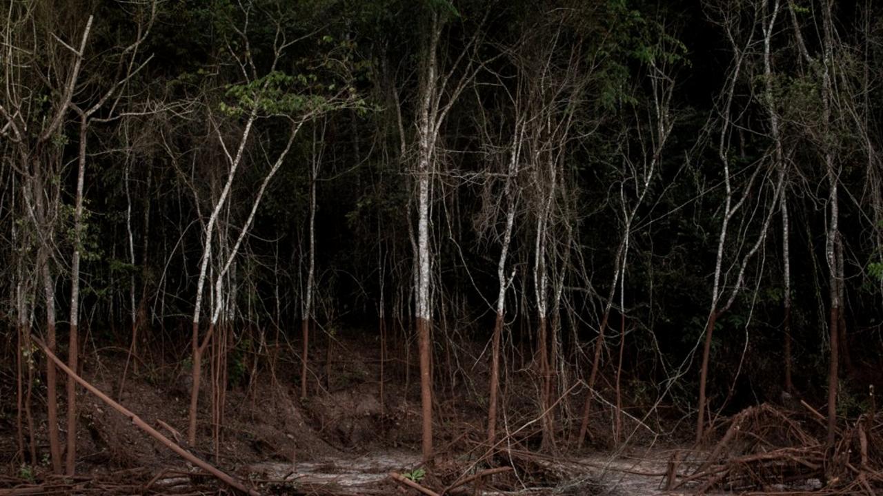 Natureza e território na palestra sobre fotografia contemporânea promovida pelo NuFCa