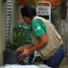 Hortolândia continua com eliminação de criadouros de Aedes aegypti em mais duas regiões, esta semana
