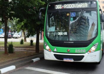 Linha 366 transporta cerca de 800 passageiros em dias úteis e mapa do trajeto atualizado