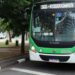 Linha 366 transporta cerca de 800 passageiros em dias úteis e mapa do trajeto atualizado