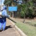 Trabalhadores roçando mato e recolhendo folhas na Praça Arautos da Paz