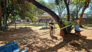 Observatório Ambiental fecha nesta quarta para remoção de abelhas