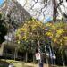 Prefeitura autorizada a reparcelar débitos com Camprev por até 300 meses