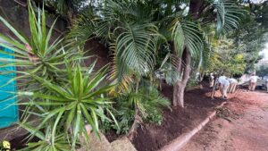 Parceria entre comunidade e prefeitura elimina ponto viciado de lixo no São Quirino