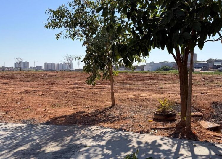 Prefeitura apresentará à população nascente preservada no Pq. Terras de Santa Maria