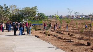 Prefeitura apresenta revitalização de nascente em Hortolândia