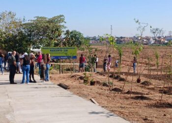 Prefeitura atende à comunidade e preserva nascentes de Hortolândia