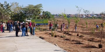 Prefeitura atende à comunidade e preserva nascentes de Hortolândia