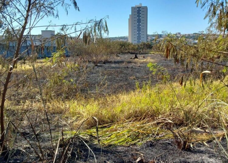 Prefeitura reforça importância de ações preventivas contra queimadas no período de estiagem