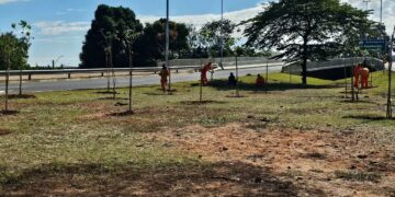 preservação ambiental
