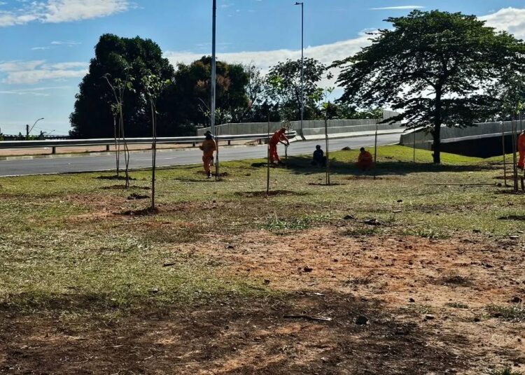preservação ambiental